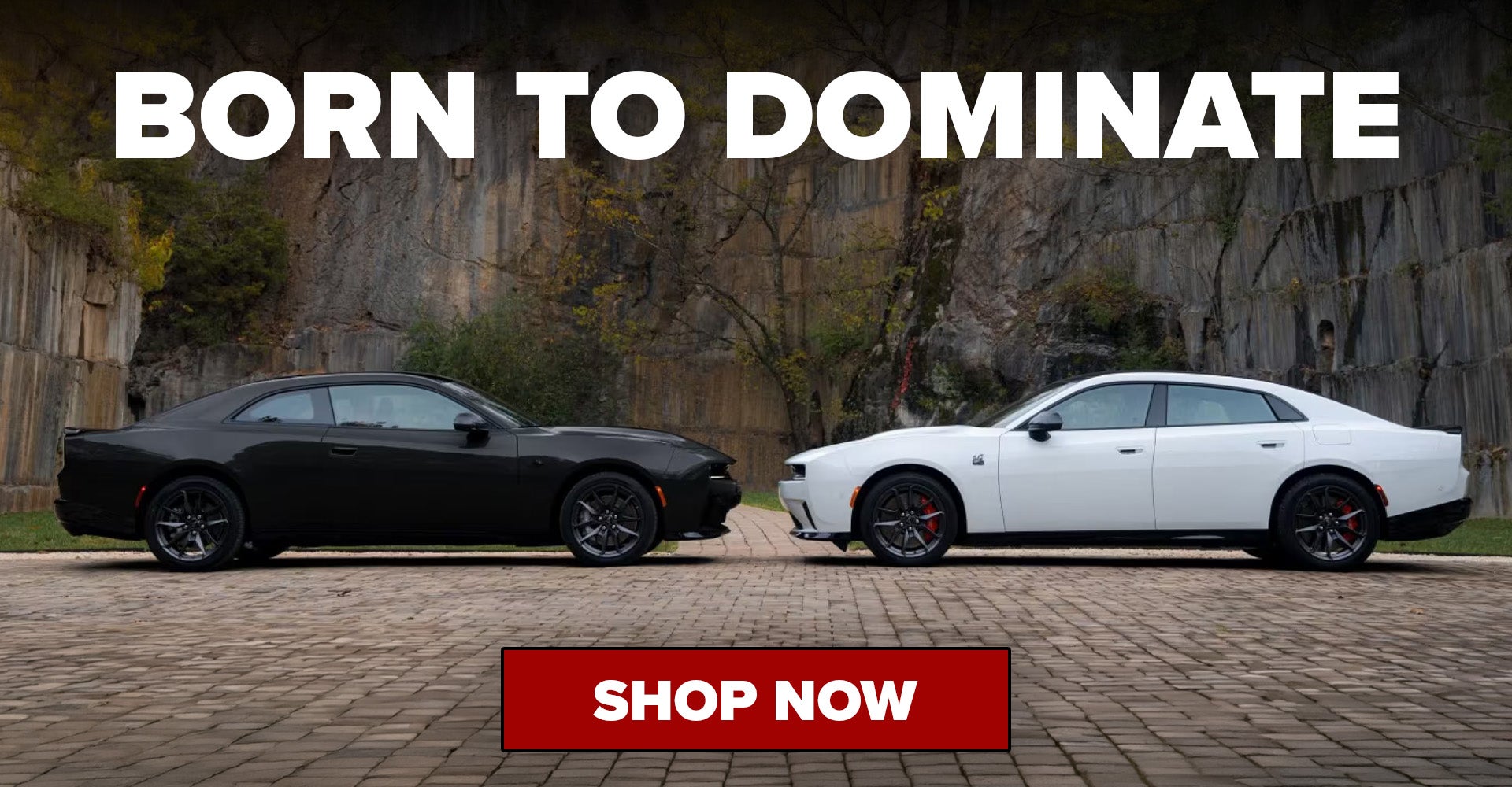 2027 Dodge Charger Dover DE